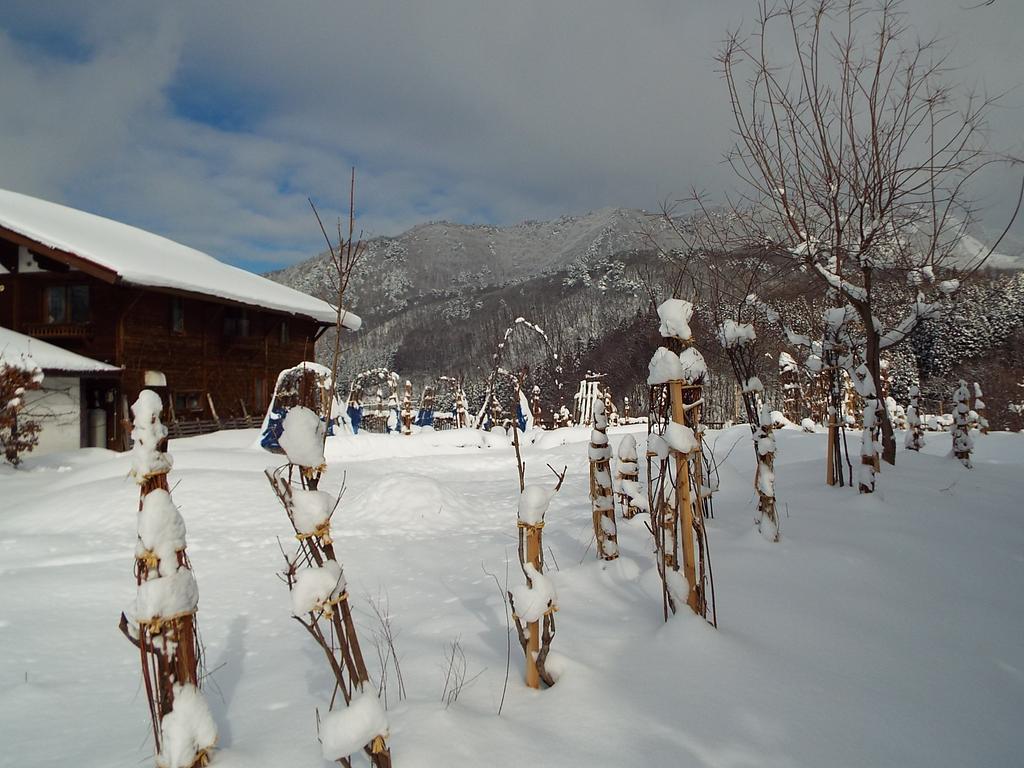 Pension Apple Kaminoyama Экстерьер фото